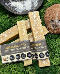 Coconut Yak Dog Chew – Long Lasting Himalayan Milk Chew, Medium to XL