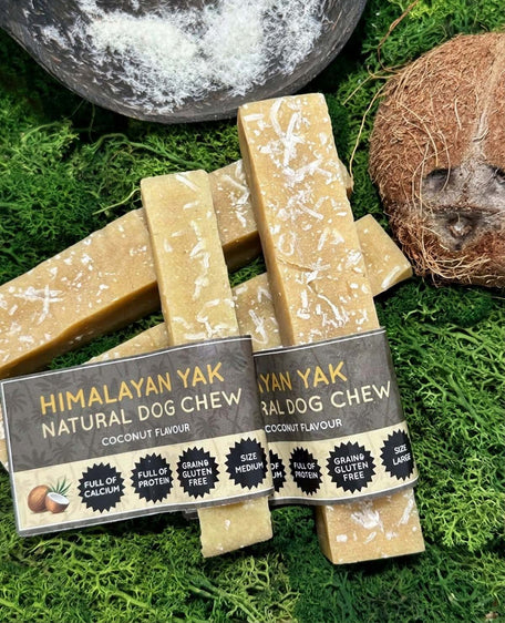 Coconut Yak Dog Chew – Long Lasting Himalayan Milk Chew, Medium to XL