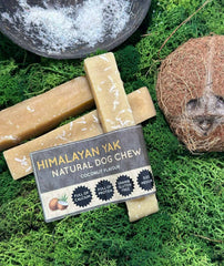 Coconut Yak Dog Chew – Long Lasting Himalayan Milk Chew, Medium to XL