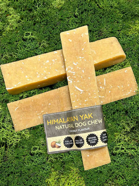 Coconut Yak Dog Chew – Long Lasting Himalayan Milk Chew, Medium to XL