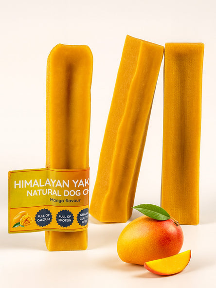 Mango Yak Dog Chew – Long Lasting Himalayan Milk Chew, Medium to XL