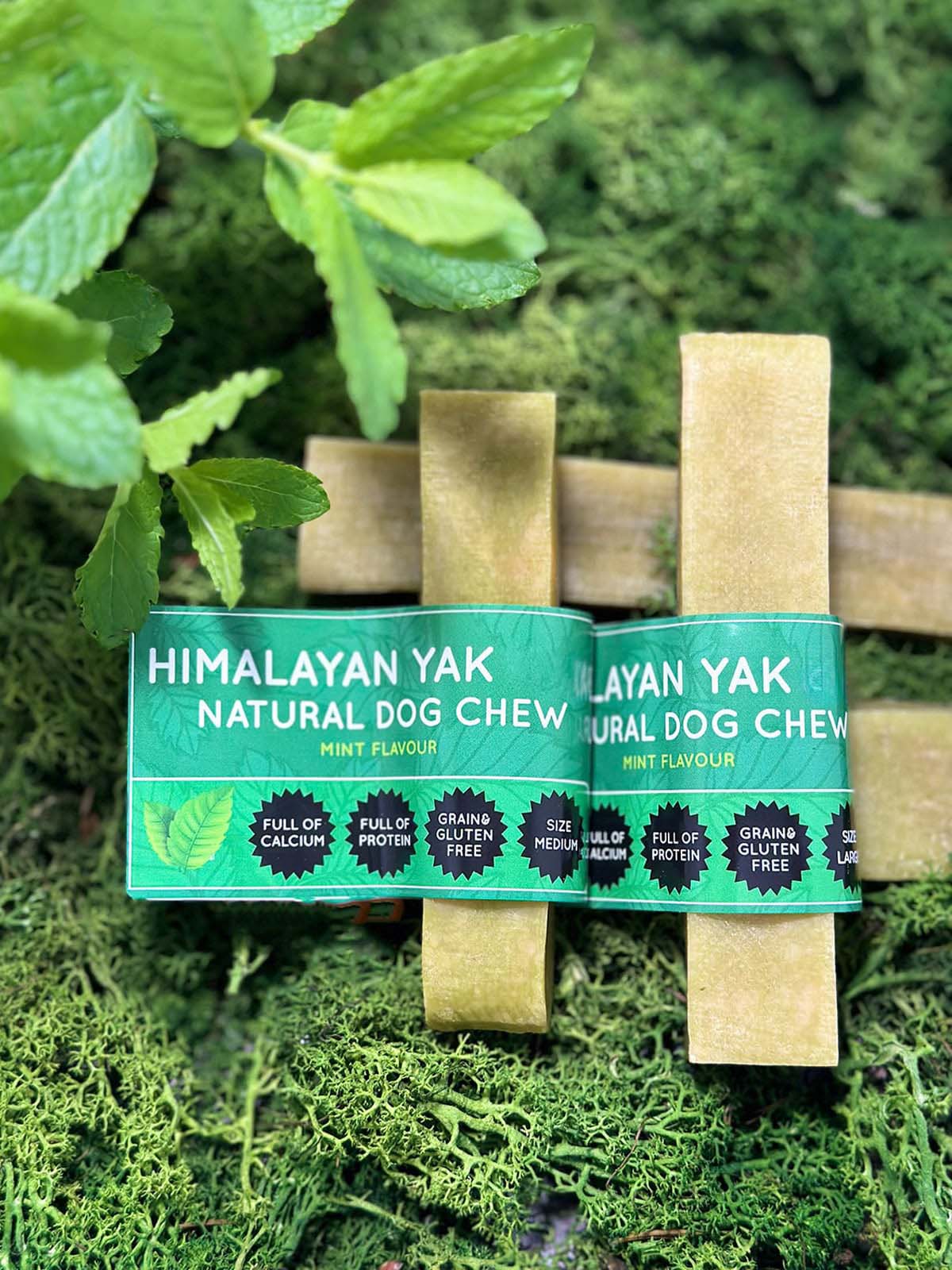 Mint Yak Dog Chew – Long Lasting Himalayan Milk Chew, Medium to XL