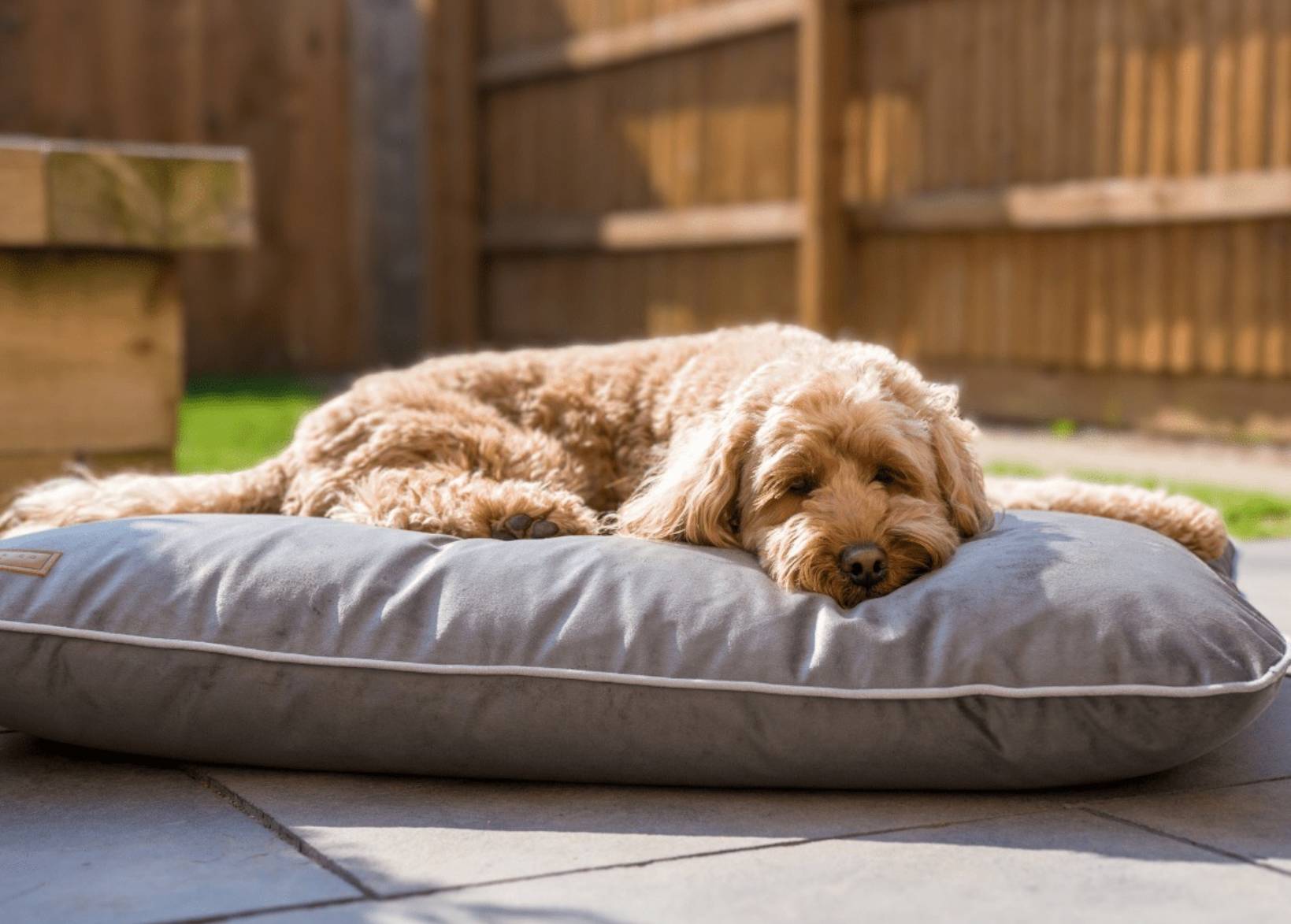 Ralph & Co Orthopaedic Memory Foam Dog Crate Mattress, Grey