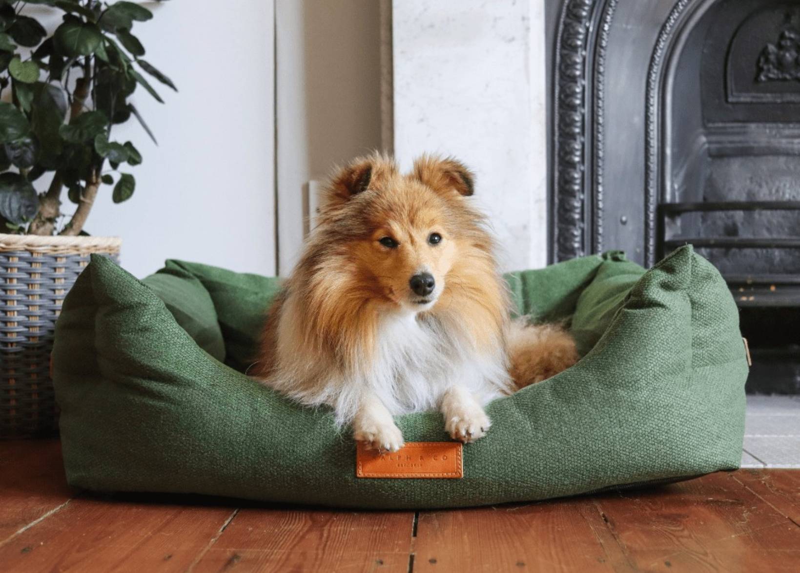 Ralph & Co Richmond Green Bolster Dog Bed