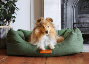 Ralph & Co Richmond Green Bolster Dog Bed
