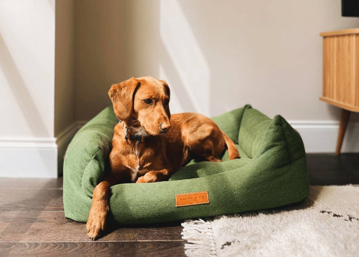 Ralph & Co Richmond Green Bolster Dog Bed, image 2