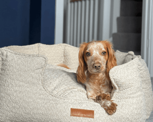 Ralph & Co Cotswold High Wall Bouclé Dog Bed