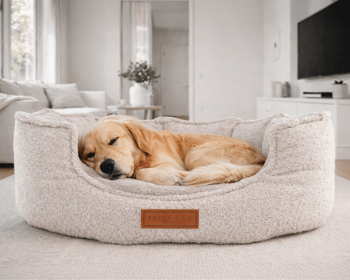 Ralph & Co Cotswold High Wall Bouclé Dog Bed