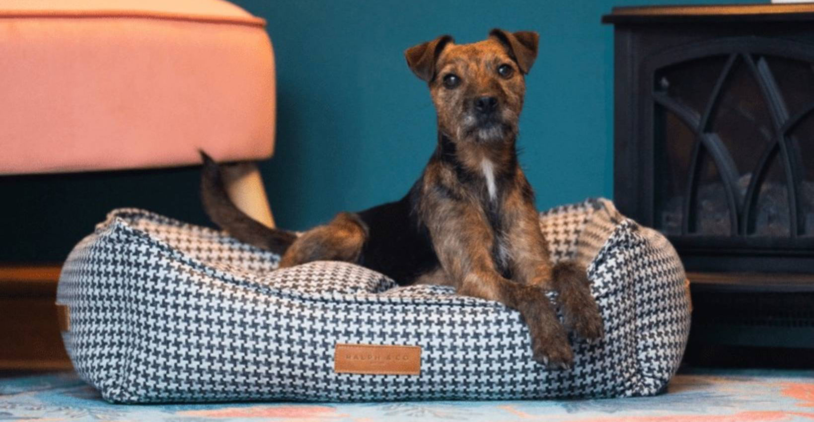 Ralph & Co Kensington Houndstooth Bolster Dog Bed