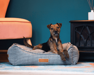 Ralph & Co Kensington Houndstooth Bolster Dog Bed