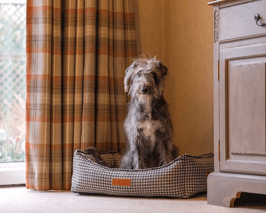 Ralph & Co Kensington Houndstooth Bolster Dog Bed