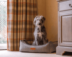 Ralph & Co Kensington Houndstooth Bolster Dog Bed