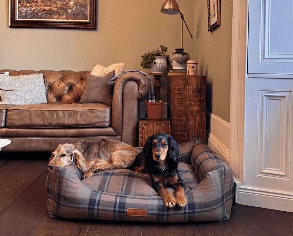 Ralph & Co Marlow Tartan Bolster Dog Bed