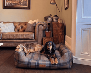 Ralph & Co Marlow Tartan Bolster Dog Bed