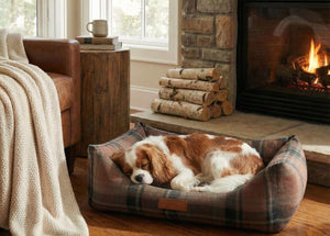 Ralph & Co Marlow Tartan Bolster Dog Bed
