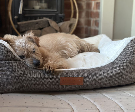 Ralph & Co Lincoln Tweed Bolster Dog Bed, image 14