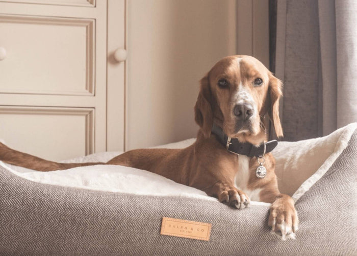 Ralph & Co Lincoln Tweed Bolster Dog Bed, image 2