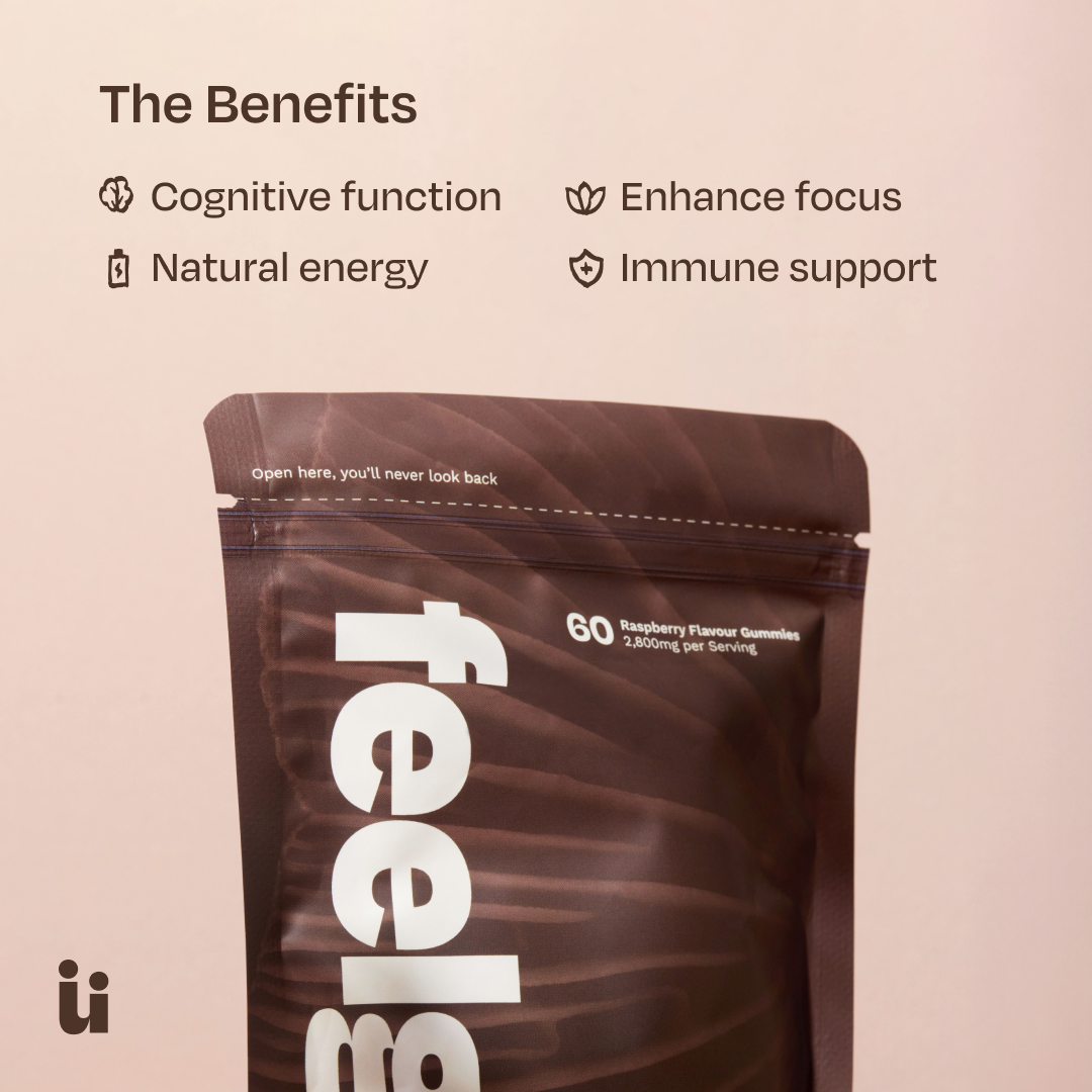 Calm + Focus Bundle – Mushroom Gummies & Ashwagandha Gummies