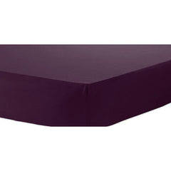Olivia Rocco Percale Fitted Sheet, 180 Thread Count, 30cm Deep