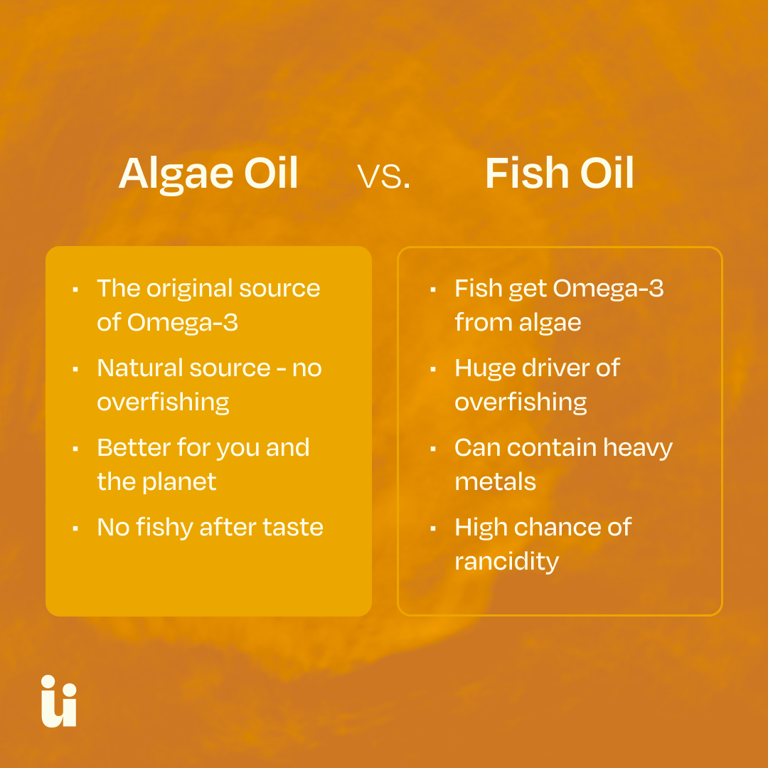 Omega-3 Gummies – Algae DHA with Vitamin D3, Vegan, No Fishy Aftertaste