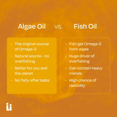 Omega-3 Gummies – Algae DHA with Vitamin D3, Vegan, No Fishy Aftertaste
