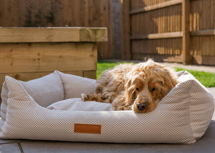 Ralph & Co Chatsworth Memory Foam Bolster Dog Bed, image 2