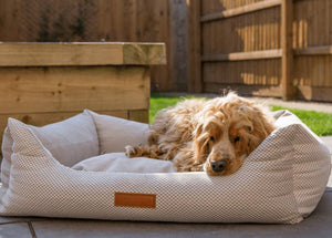 Ralph & Co Chatsworth Memory Foam Bolster Dog Bed
