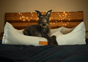 Ralph & Co Highclere Memory Foam Bolster Dog Bed