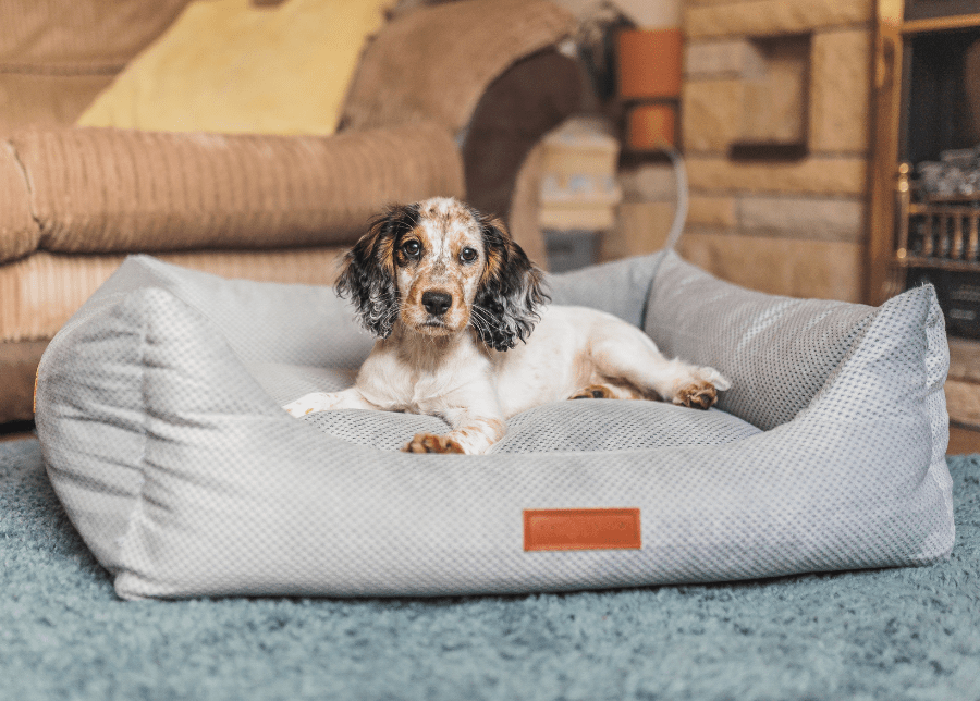 Ralph & Co Highclere Memory Foam Bolster Dog Bed
