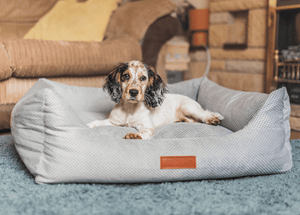 Ralph & Co Highclere Memory Foam Bolster Dog Bed