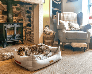 Ralph & Co Highclere Memory Foam Bolster Dog Bed