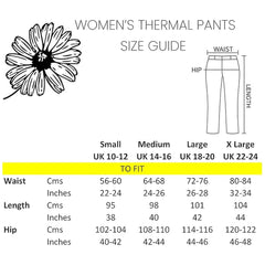 Women's Thermal Pants 2 Pack Cotton Rich Insulating Yarn Ribbed Comfort Fit
