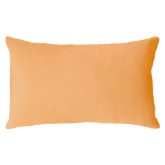 Scorpio Zodiac Needlepoint Cushion – Celestial Design, 45cm