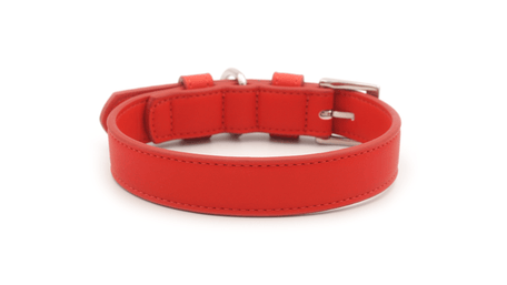 Ralph & Co Lignify Vegan Dog Collar, Red, image 6