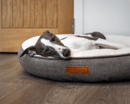Ralph & Co Lincoln Tweed Donut Dog Bed with Faux Fur Lining, image 13
