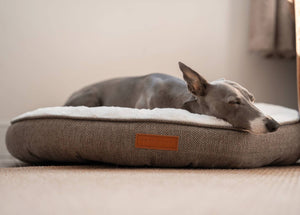Ralph & Co Lincoln Tweed Donut Dog Bed with Faux Fur Lining