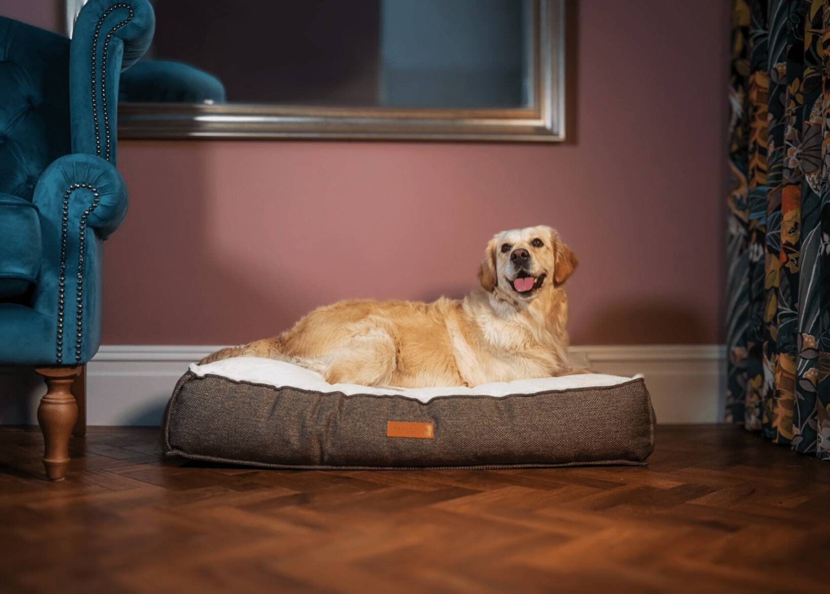 Ralph & Co Lincoln Tweed Flat Pillow Dog Bed
