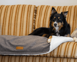 Ralph & Co Lincoln Tweed Flat Pillow Dog Bed