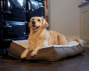 Ralph & Co Lincoln Tweed Flat Pillow Dog Bed