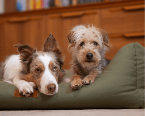 Ralph & Co Henley Orthopaedic Waterproof Bolster Dog Bed