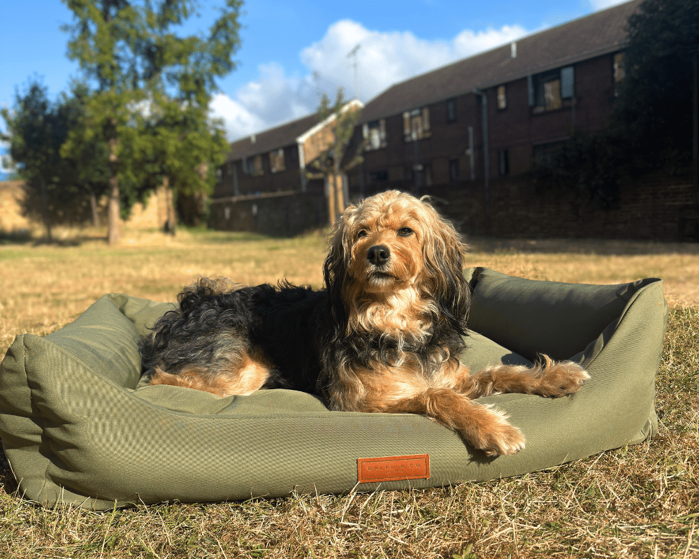 Ralph & Co Henley Orthopaedic Waterproof Bolster Dog Bed
