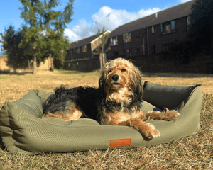 Ralph & Co Henley Orthopaedic Waterproof Bolster Dog Bed