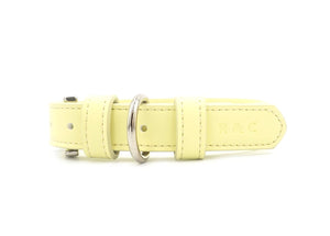 Ralph & Co Lignify Vegan Dog Collar, Yellow