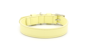Ralph & Co Lignify Vegan Dog Collar, Yellow