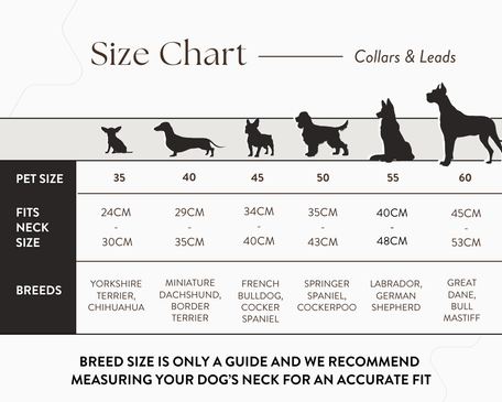 Ralph & Co Lignify Vegan Dog Collar, Black, image 3
