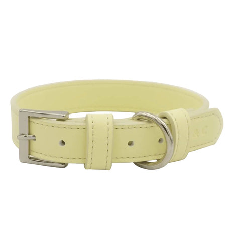 Ralph & Co Lignify Vegan Dog Collar, Yellow